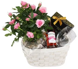 Beautiful Celebration Hamper