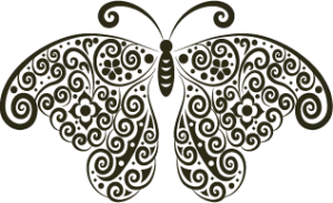 Butterfly 7