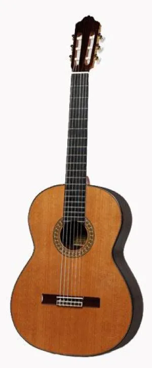 Esteve 7SR Guitar