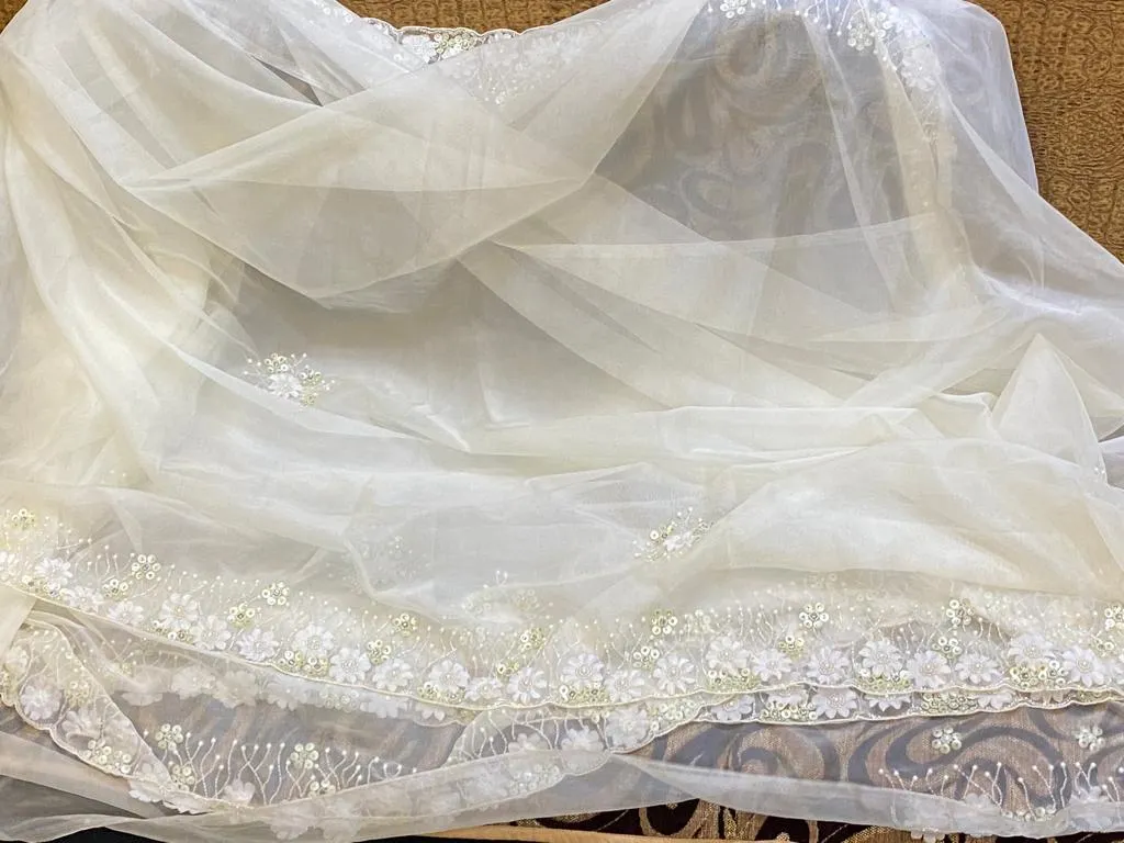 Fairly organza beautiful saree