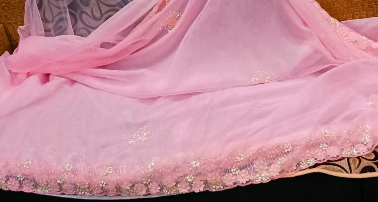 Fairly organza beautiful saree