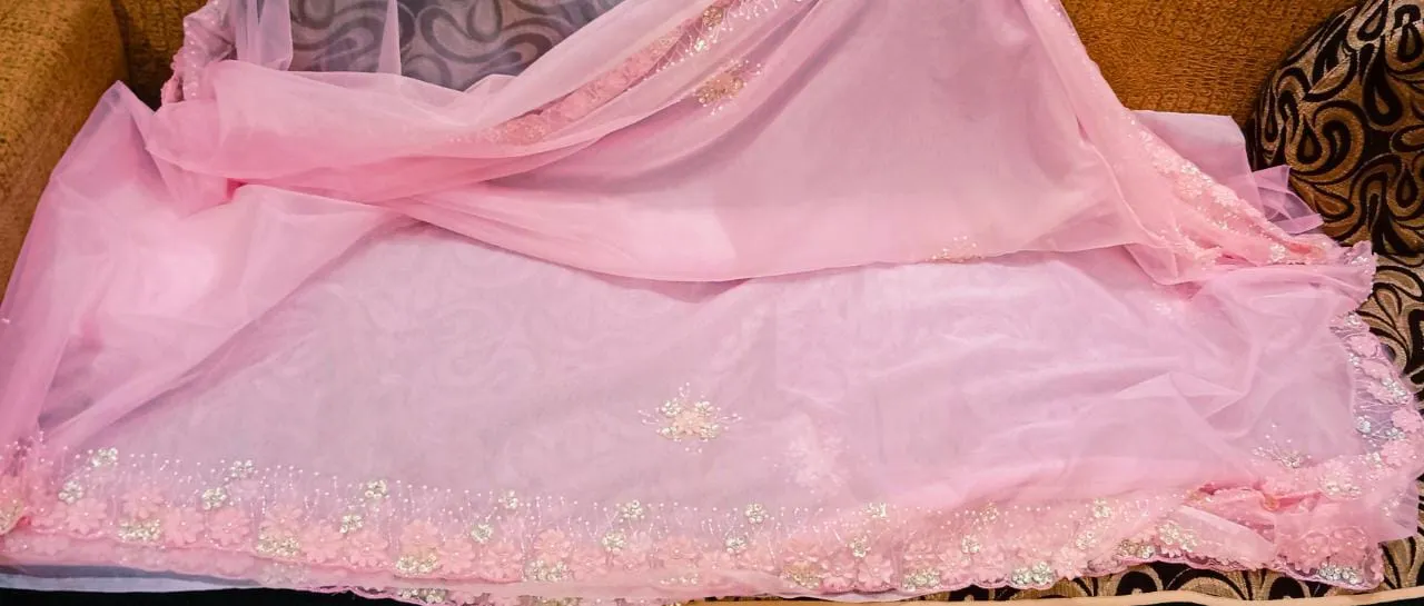 Fairly organza beautiful saree