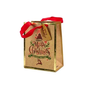 Gift Bag Festive 23x18x10cm