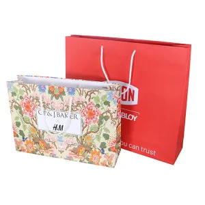 Landscape Laminated Paper Carrier Bag - Large