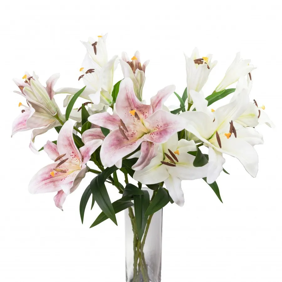 Lily Spray White