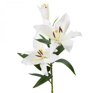 Lily Spray White