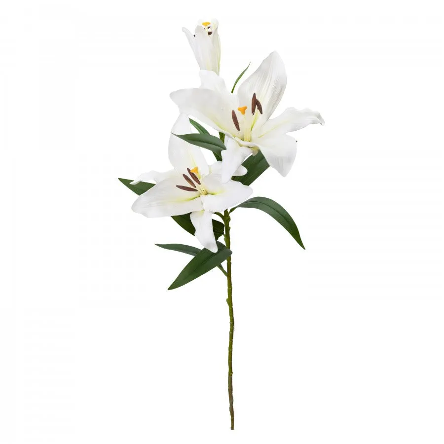 Lily Spray White