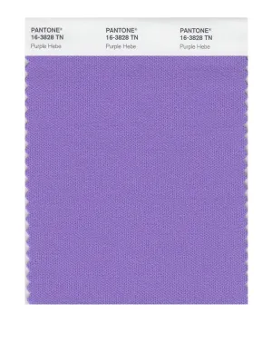 Pantone Nylon Brights Swatch Card 16-3828 TCX (Purple Hebe)