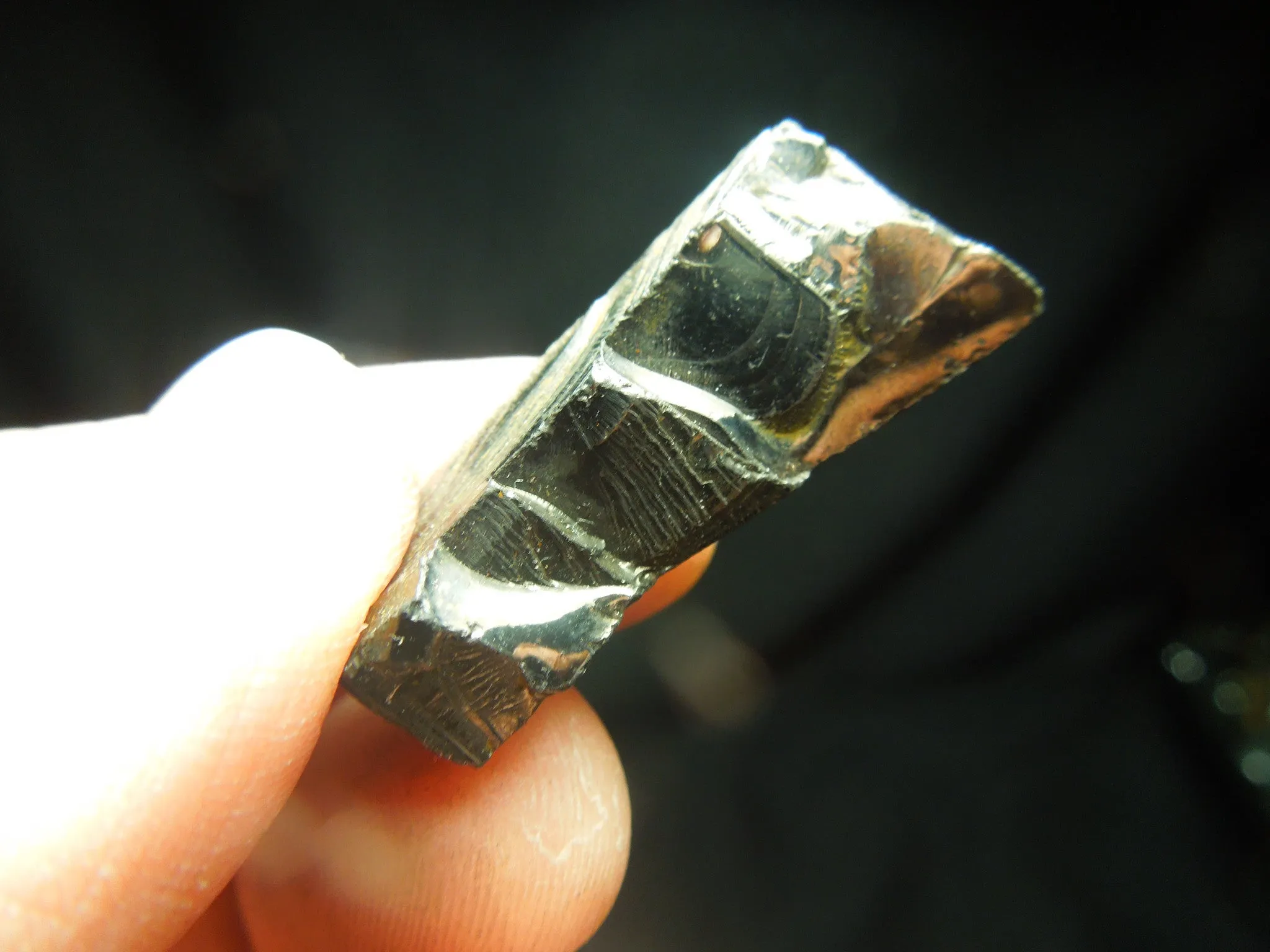 Silver (Noble) Shungite