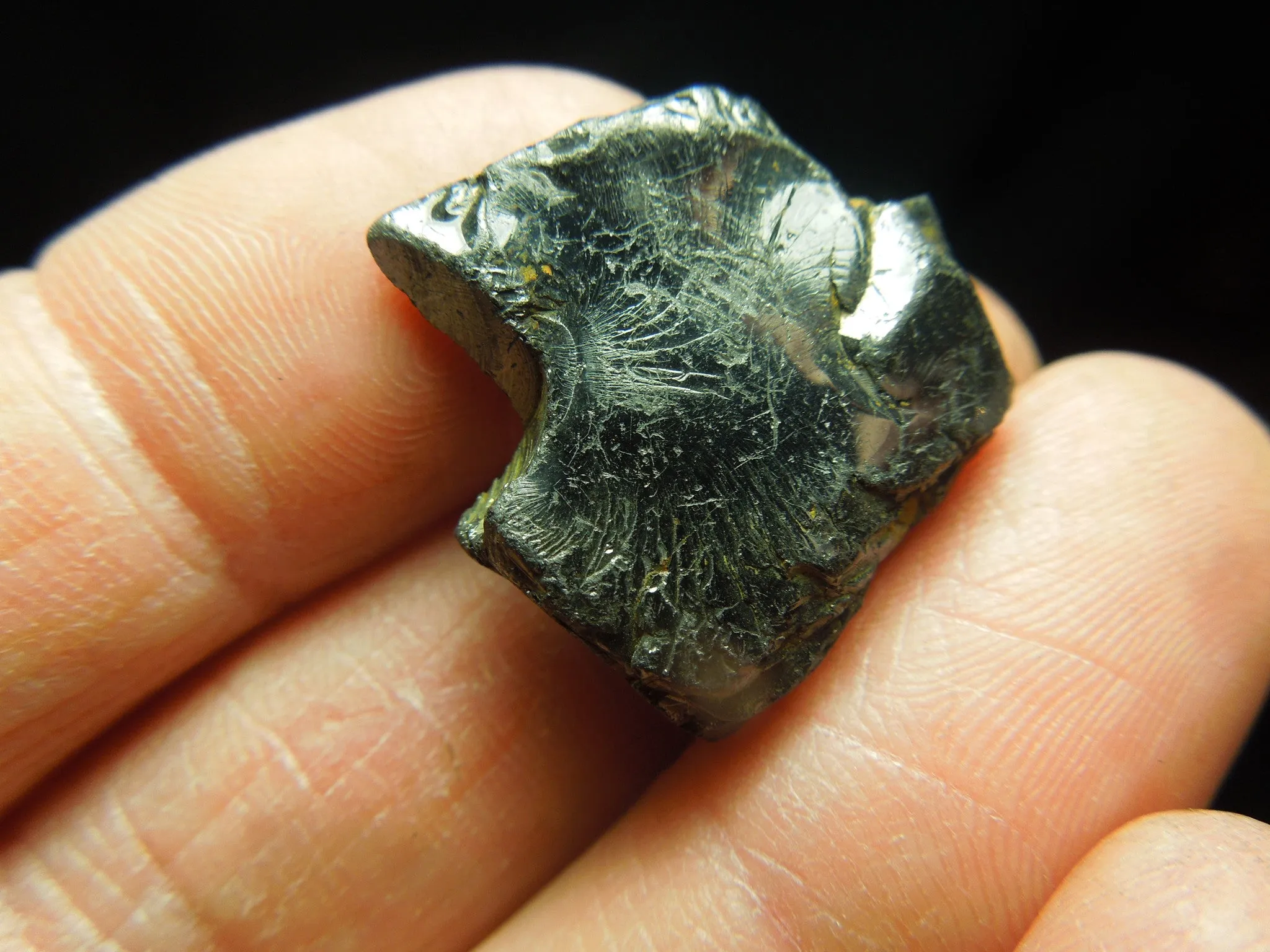 Silver (Noble) Shungite