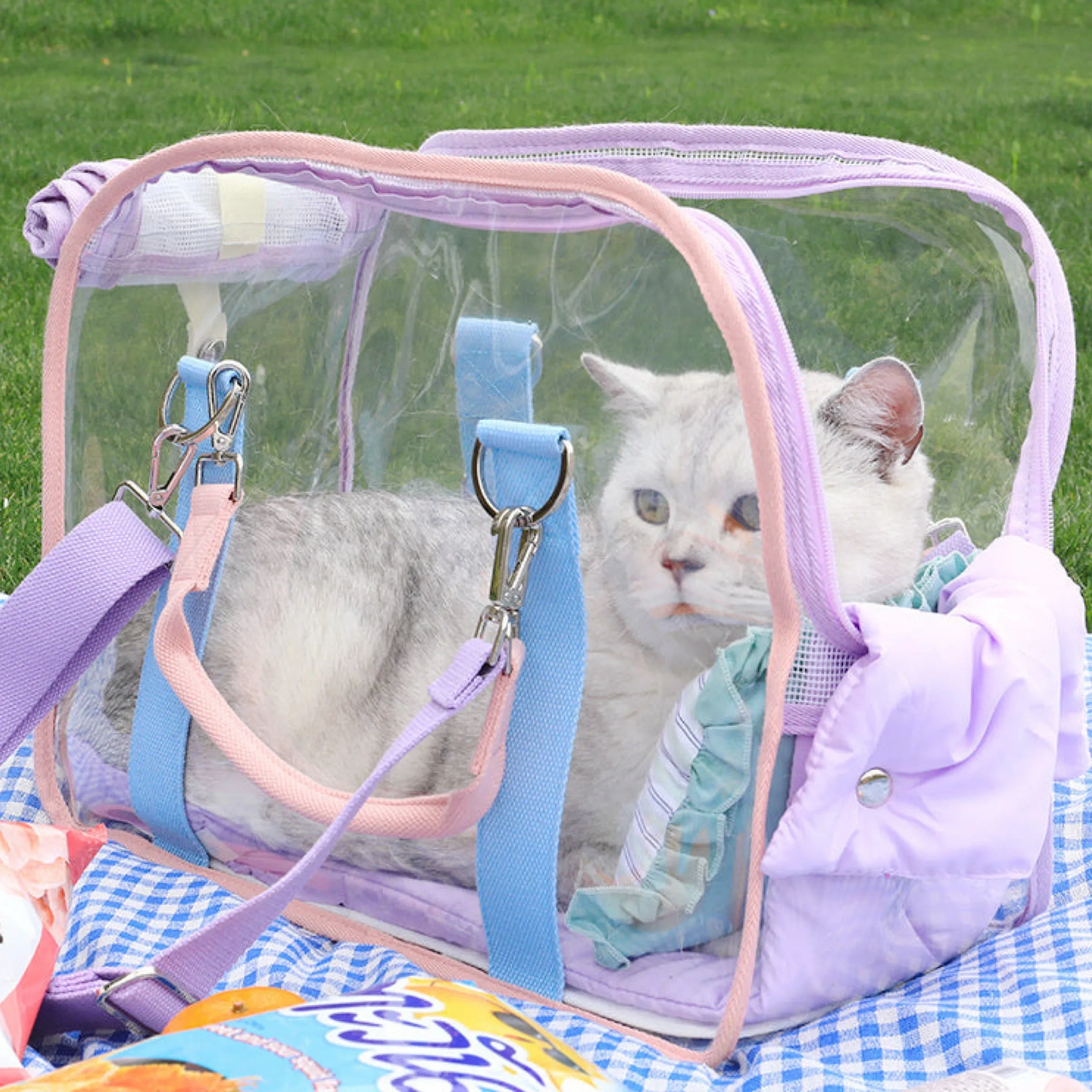 Twinkle Sugar Clear Portable Space Capsule Pet Carrier Bag See Through for Cats and Small Pets Transparent Cage Alternative with Pastel Finishes